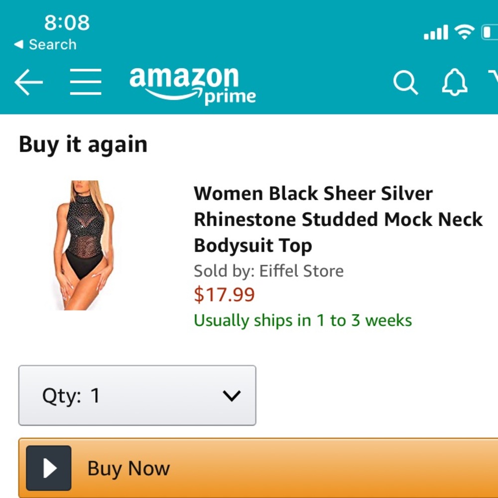 Sheer rhinestoned body suit